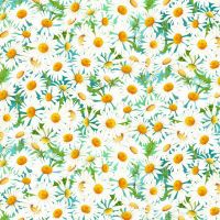 ttFLORA-CD4585 DAISY
